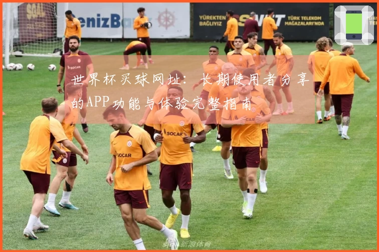 世界杯买球网址：长期使用者分享的APP功能与体验完整指南