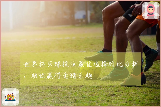 世界杯买球投注最佳选择对比分析，助你赢得竞猜乐趣
