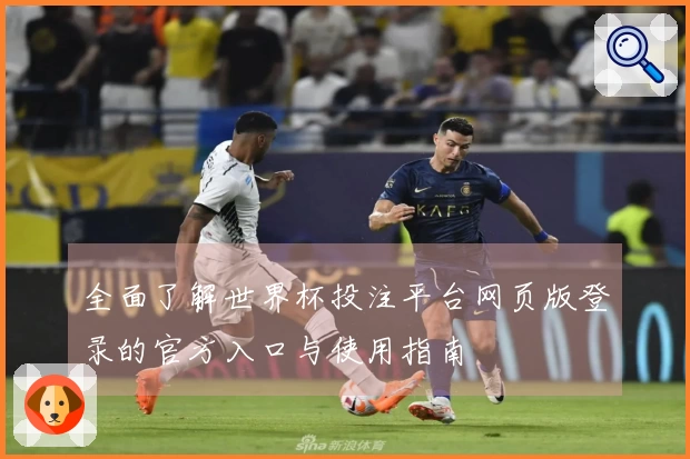 全面了解世界杯投注平台网页版登录的官方入口与使用指南