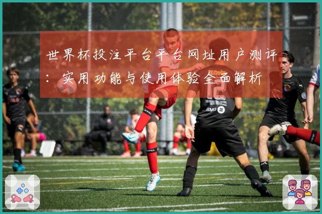 世界杯投注平台平台网址用户测评：实用功能与使用体验全面解析