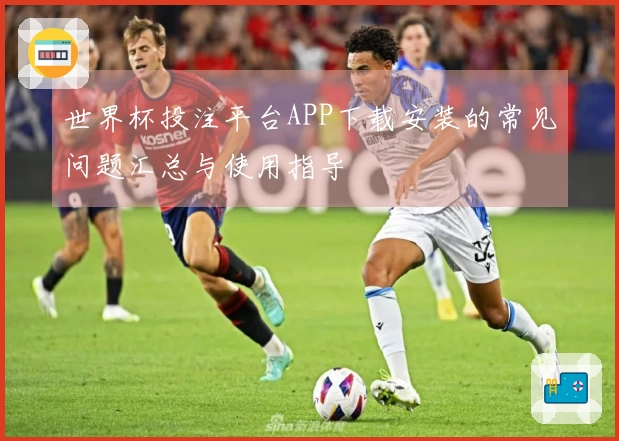 世界杯投注平台APP下载安装的常见问题汇总与使用指导