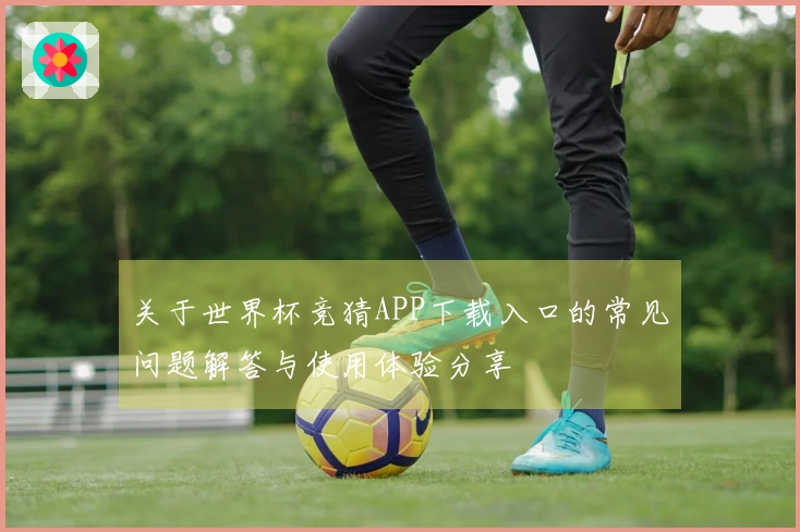 关于世界杯竞猜APP下载入口的常见问题解答与使用体验分享