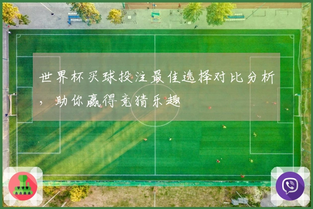 世界杯买球投注最佳选择对比分析，助你赢得竞猜乐趣