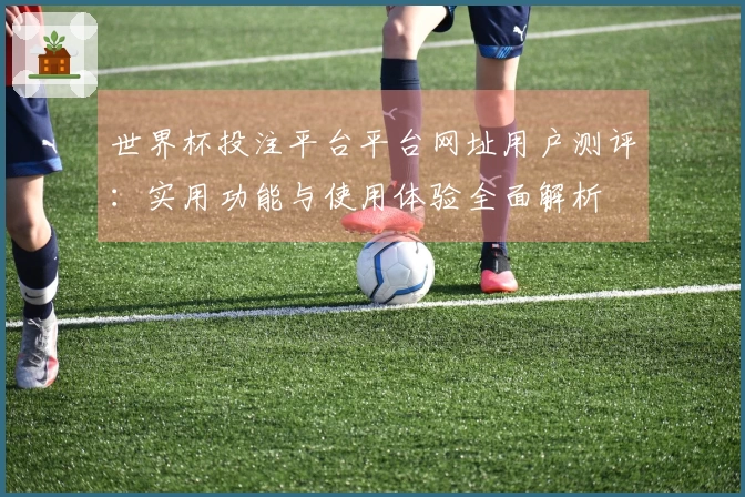 世界杯投注平台平台网址用户测评：实用功能与使用体验全面解析