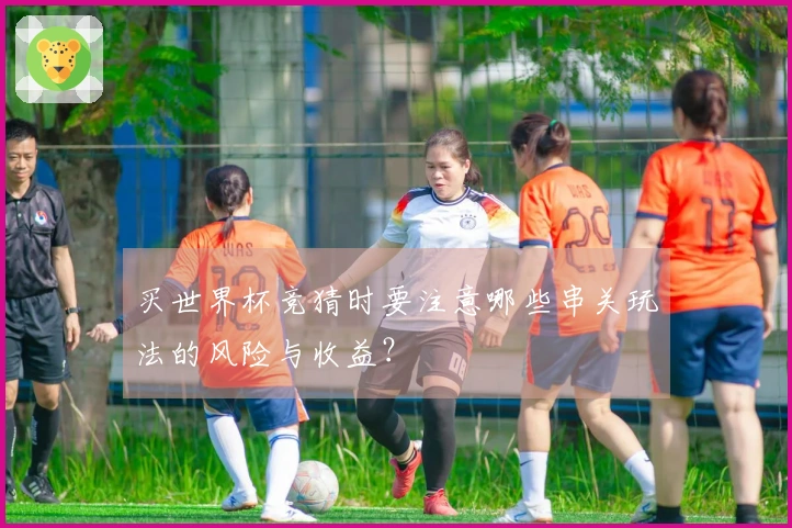 买世界杯竞猜时要注意哪些串关玩法的风险与收益？