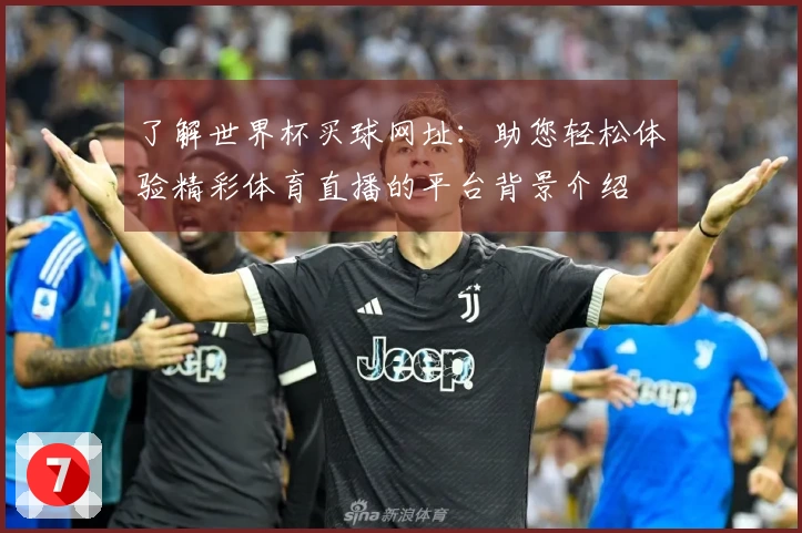 了解世界杯买球网址:助您轻松体验精彩体育直播的平台背景介绍