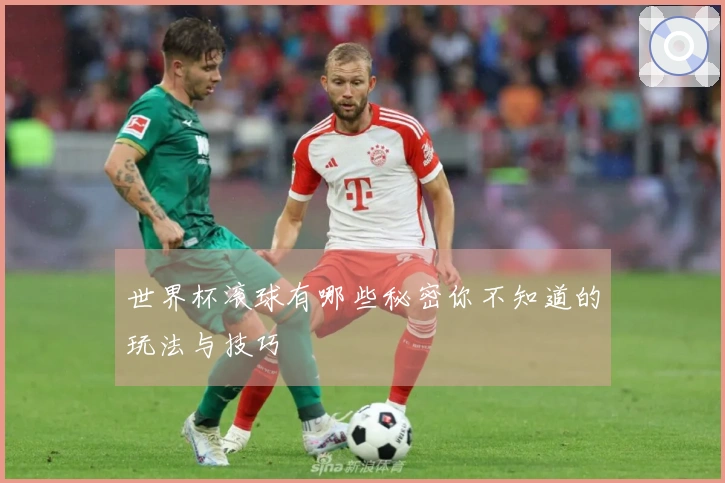 世界杯滚球有哪些秘密你不知道的玩法与技巧
